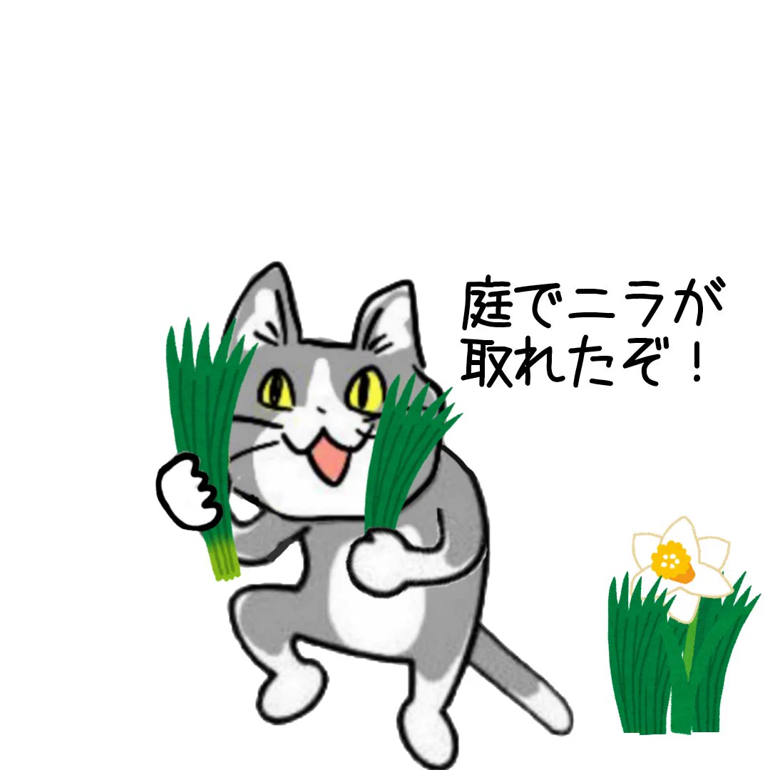 やさしいけど危ない！ニラと間違えてスイセンをあげてしまう現場猫！