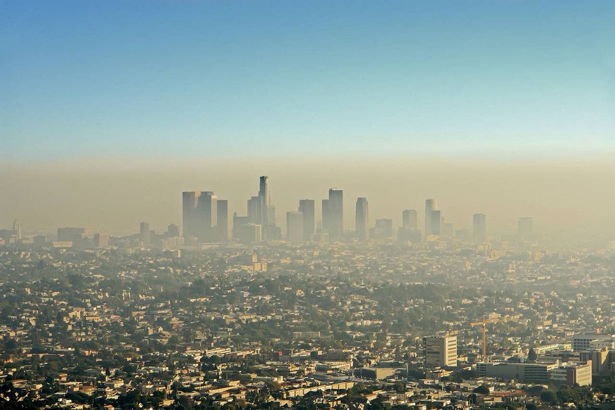 “We are the children of a planet that once harboured a mind-boggling vastness of wealth of life forms and resources. Yet in just a few hundred years, we have already managed to eat our way through much of our inheritance, literally blowing it up in smoke” #ecology #ClimateCrisis