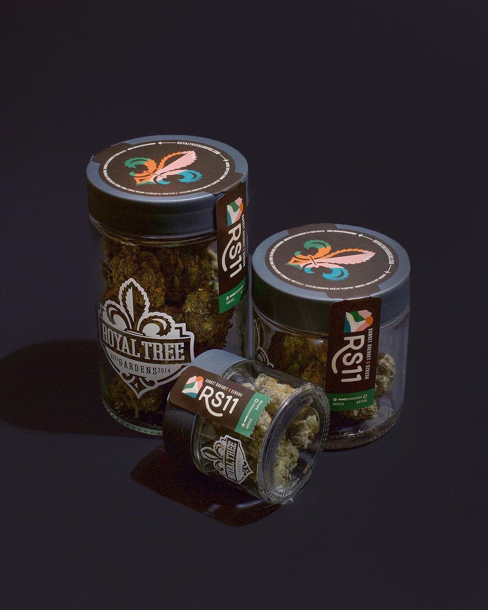 firehousenw's tweet image. RS-11 by @royaltreegarden 

RAINBOW SHERBET 11 x OZ Kush

EFFECTS: relaxing, clarity of mind, creative 

AROMA: orange, spicy peach, apricot