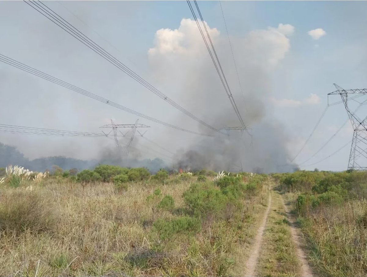 BlausteinMatias's tweet photo. Un día una quema de pastizales te llena de humo una provincia, otro te mata parte de la flora y fauna de un lugar y otro, como hoy a 8 km de Gral. Rodriguez, te produce una megafalla que colapsa la alimentación eléctrica en medio país.

Nada, cosas normales que pasan (solas)... https://t.co/OSoBRbgvAf