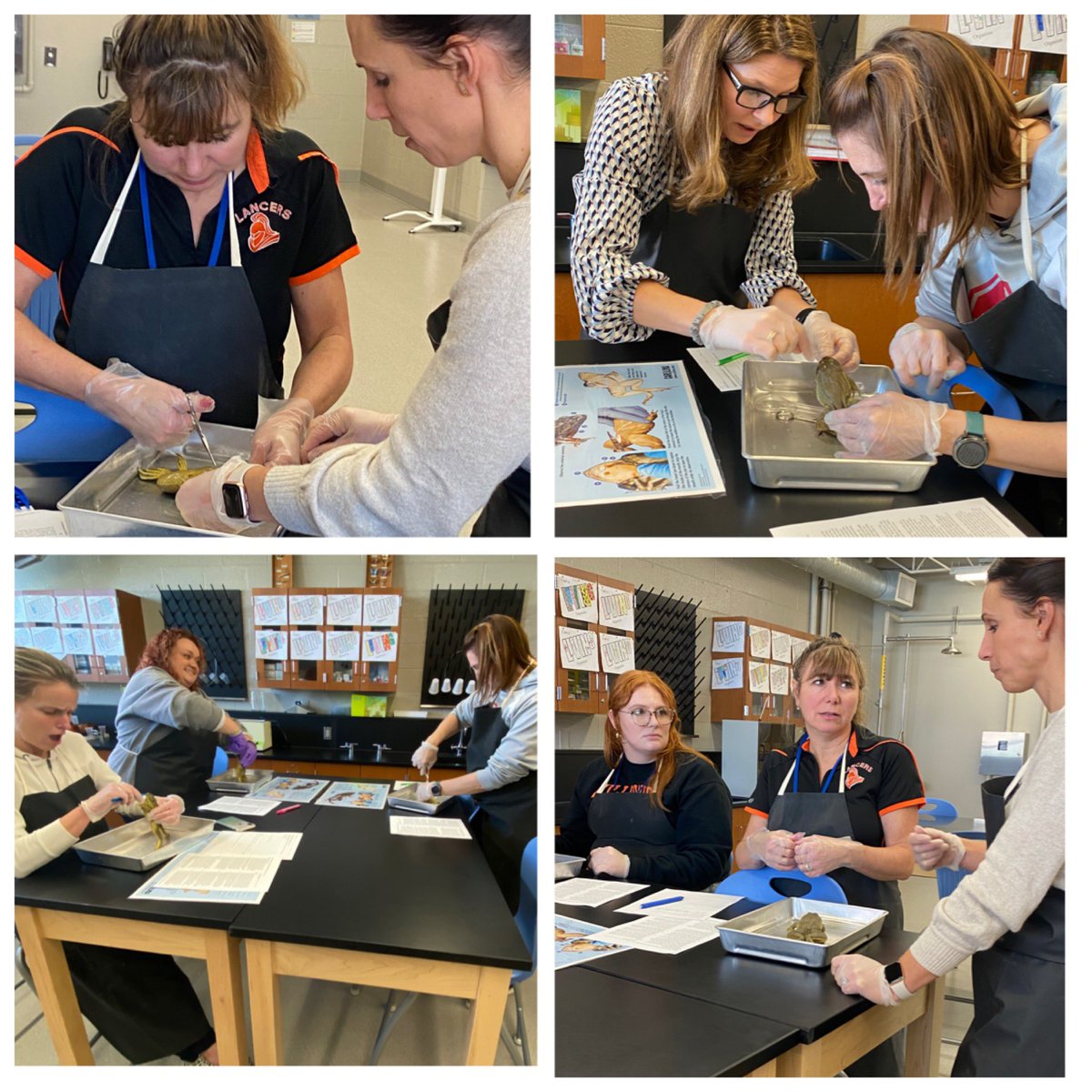 No squeamish teachers allowed!  SHS teachers Beth Frabotta and Jessica Mormino helped sixth grade science teachers with their dissection skills. Sixth grade students have a lot to look forward to soon!