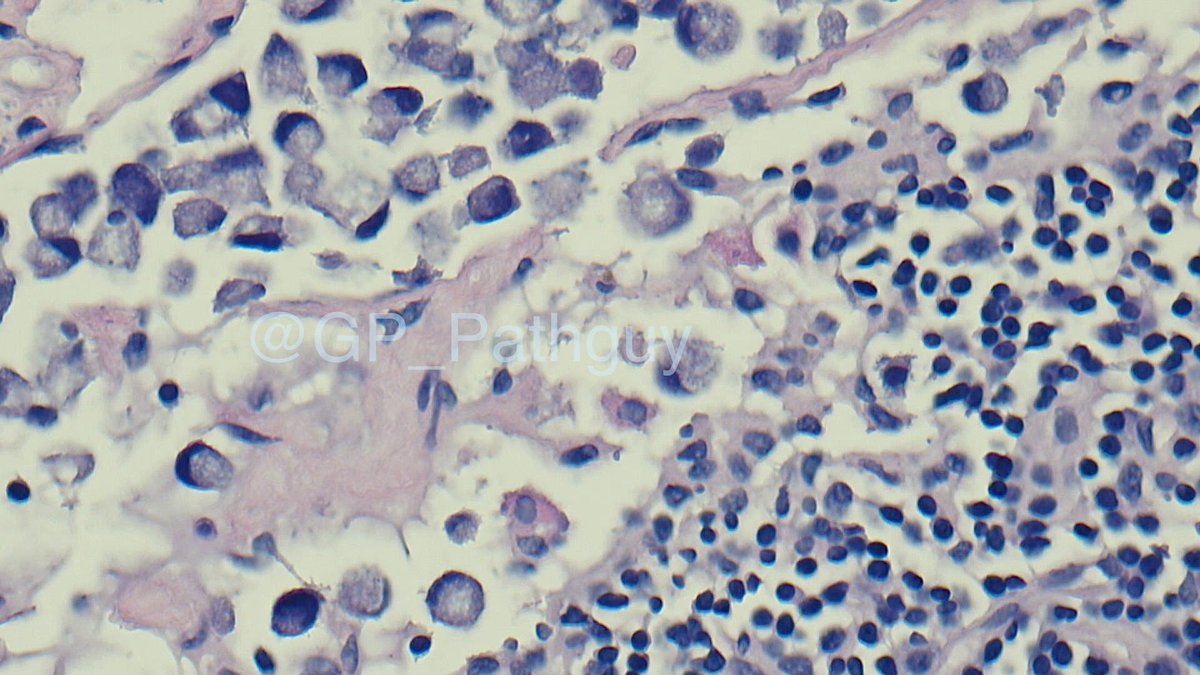 Glenn Murray tweet media