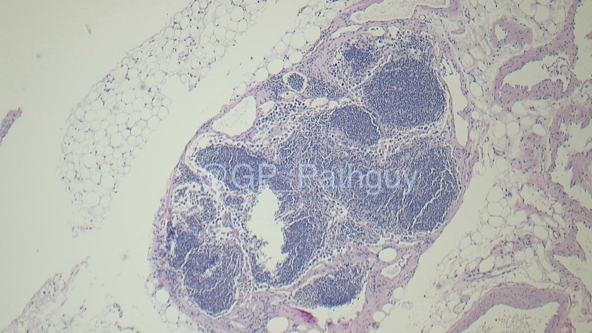 Glenn Murray tweet media