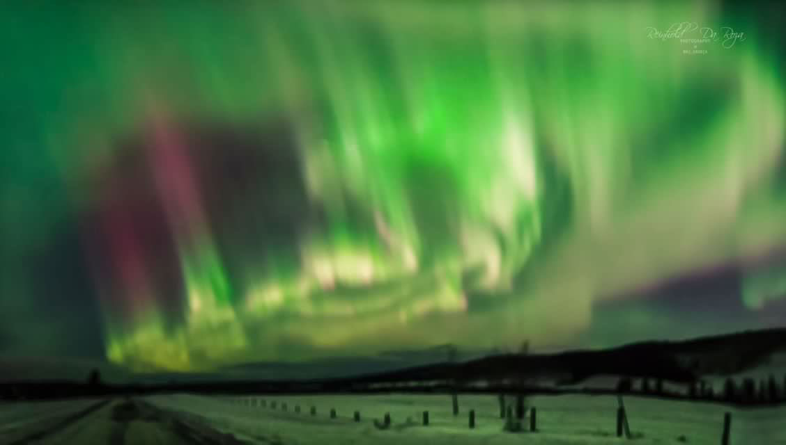 TELUS_Spark's tweet photo. ๐ฒ FEAST YOUR EYES ON THIS CORONA!๐ฒ
Itโs not beer. Itโs Aurora!
When #auroras are overhead, you get a totally different perspective. More colours are seen with the naked eye, and they will be very bright, structured and fast!
#coronalaurora
#corona
#science
๐ธ: @rjdaroza https://t.co/w1ZsB0YAuW