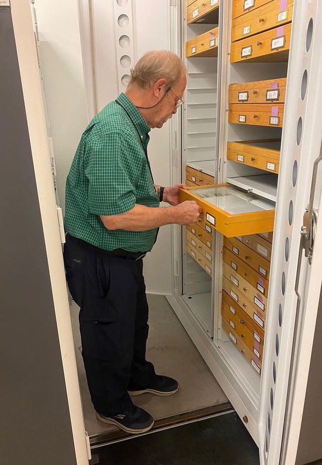 Entomological Collections Network tweet media