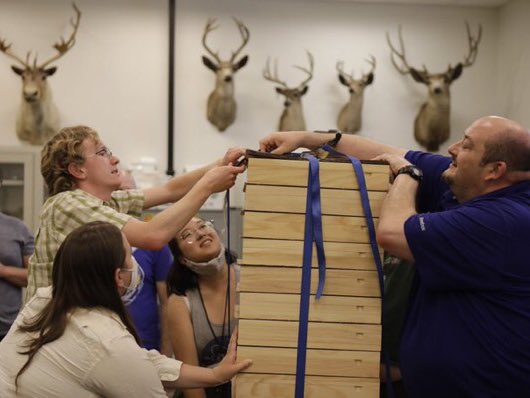 Entomological Collections Network tweet media