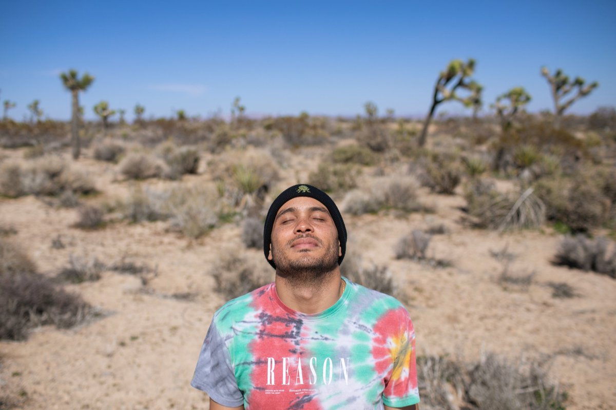 Jason Armond tweet media