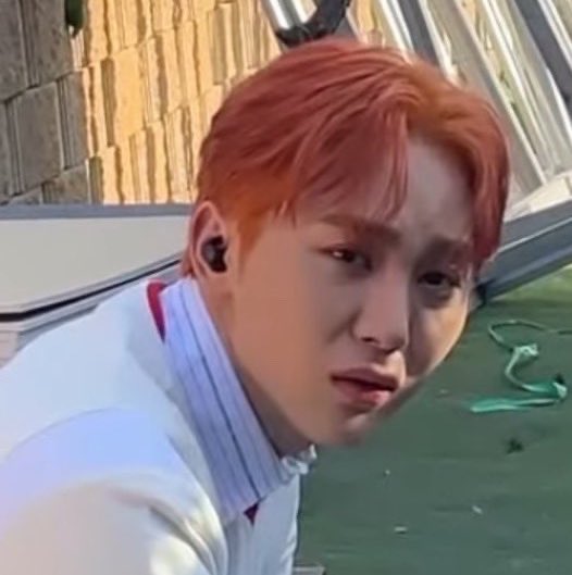 kiaracdario's tweet photo. Thank u for all the memes I got from random airdrops at Polilya today #kpob 😭😭 dinodogshow https://t.co/GR4sQsgq8N