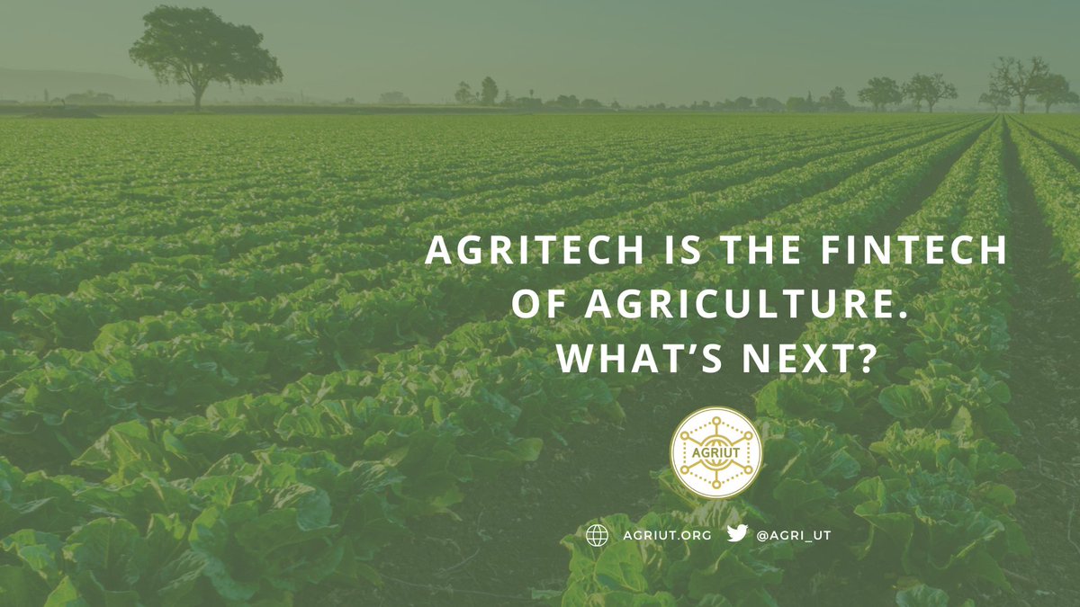 Agritech is the Fintech of Agriculture. What’s Next? Agritech has the potential to revolutionise the agricultural industry by providing farmers with access to capital, improved financial services, and increased efficiency. Where do you think the Agritech Industry is headed?