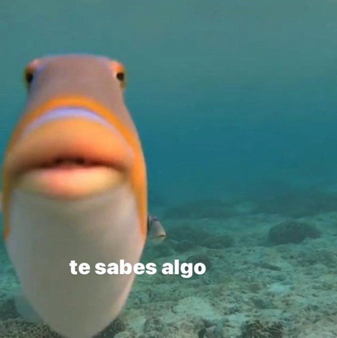 yo antes del examen: