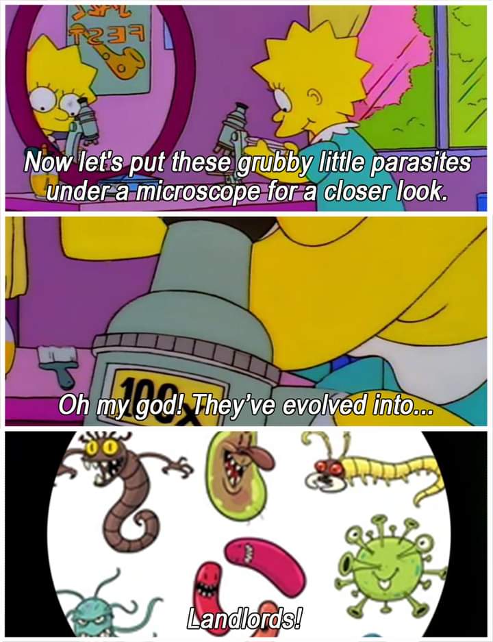 Ireland Simpsons Fans on Twitter:
