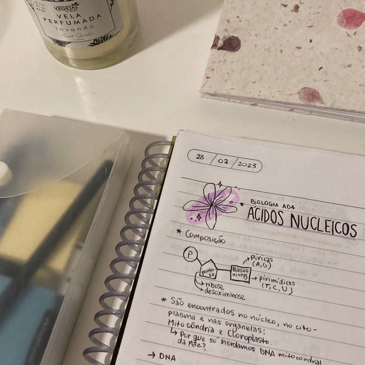 studnning's tweet image. 28/02/23 . . . studylog !

eu tava quase morrendo de rinite então não fui muito produtiva, mas ta aí

(bônus: meu título ficou tão bonitinho 😭)