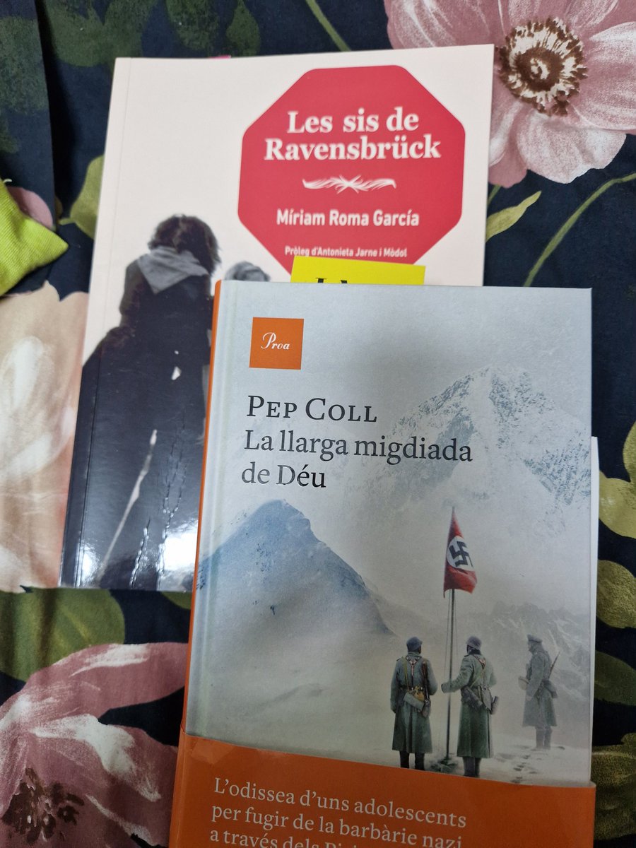 ammartisole's tweet image. Sempre sí a saber-ne més de les dones a Ravensbrück i ara, de cap, a 'La llarga migdiada de Déu'. Llegiu, sempre! 💜🍀 #MíriamRoma #PepColl #LiteraturaConcentracionària #Ravensbrück #KLReich