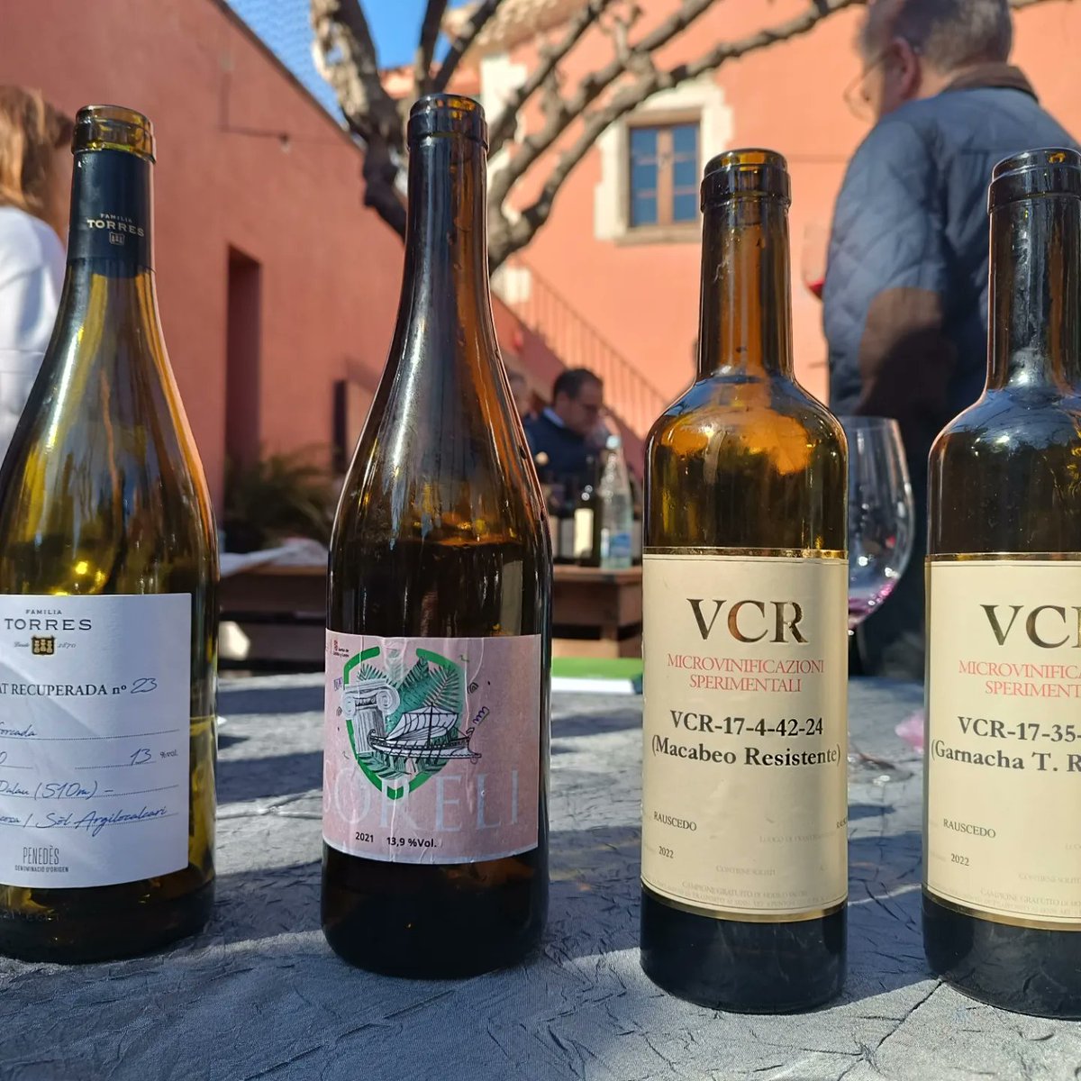 peiro_emilio's tweet photo. #viticulturasostenible .... Hoy poniendo el granito de arena... Jornada y ponencias muy interesante... rematando con vinos de variedades tanto ancestrales como resistentes... gracias por la organización!!! https://t.co/WMUJXngyqv