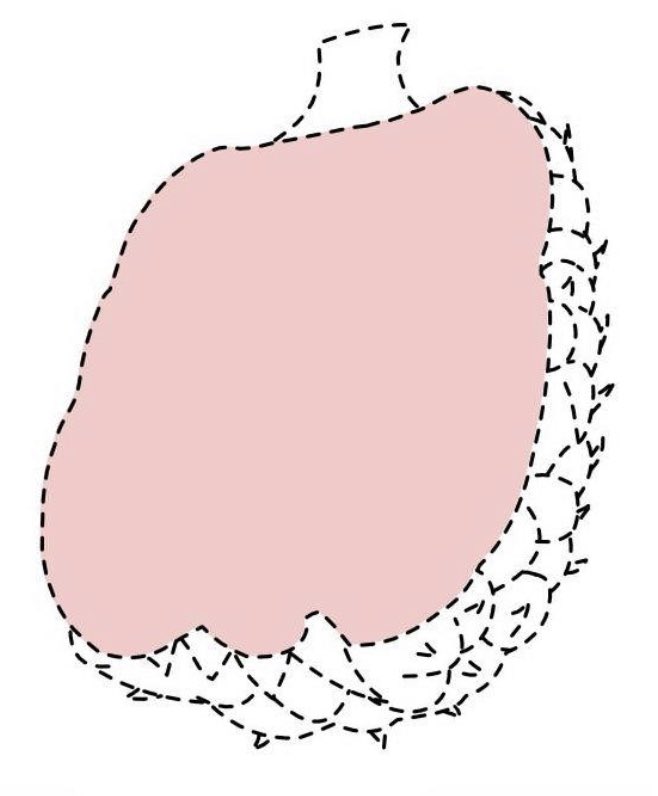 caitlincanahey's tweet photo. Del Monte filed a new application to register “the color pink on the inside flesh of a pineapple” as a mark for fresh pineapples. 

https://t.co/U6QvPrws50 https://t.co/AbpCNoWC5Y