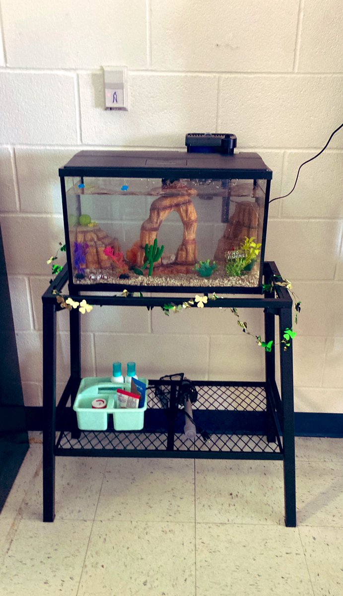 Thank you to @nisdnef for allowing me to receive pets in a classroom grant. My students absolutely love their new pets. #bettafishes #nisdgrants  @WardWranglers