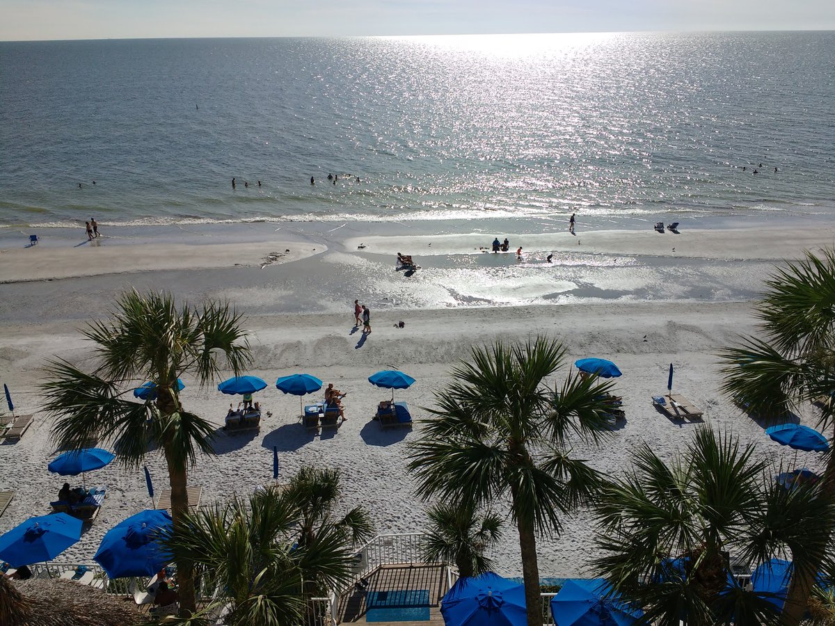 🐸 𝙶𝚕𝚞𝚙 𝚂𝚑𝚒𝚝𝚝𝚘 🍄 on Twitter "RT TownsUsa North Redington Beach