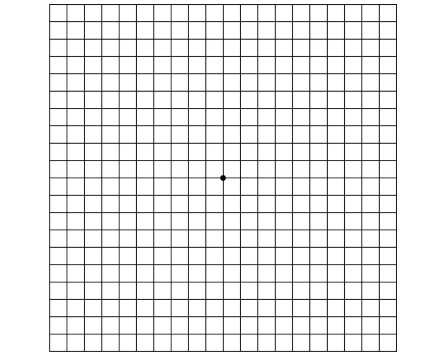 Does anyone knows what this is?