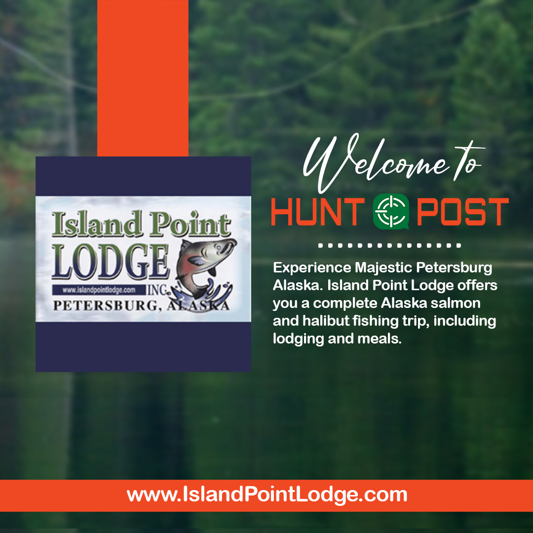 Let's welcome Island Point Lodge to HuntPost!
-
huntpost.com/pages/2518-isl…
-
Join HuntPost Today 👉 bit.ly/2VG3bmV
-
-
#fishing #islandpointlodge #salmonfishing #alaska #salmonseason #bassfishing #flyfishing #fishinglife #fishingdaily #fishinglifestyle #alaskanfishing
