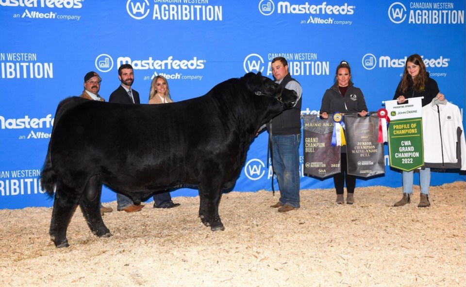BvilleNouvelle's tweet image. International championship tops long list of awards for Rusylvia Cattle Company dlvr.it/SkCb4Q #SpecialFeature #BreedersDirectory #GreatWestMedia