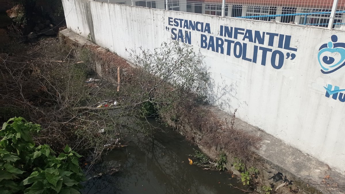 SarehetQ's tweet photo. Tala de árbol por protección civil en área de río, genera estancamiento de agua y basura con un alto riesgo a la salud en área contigua a estancia infantil en andador pino sn terminando la calle en San Bartolomé Coatepec @HuixquiGob @Huitzquillocan https://t.co/ZyUtxbFLc7