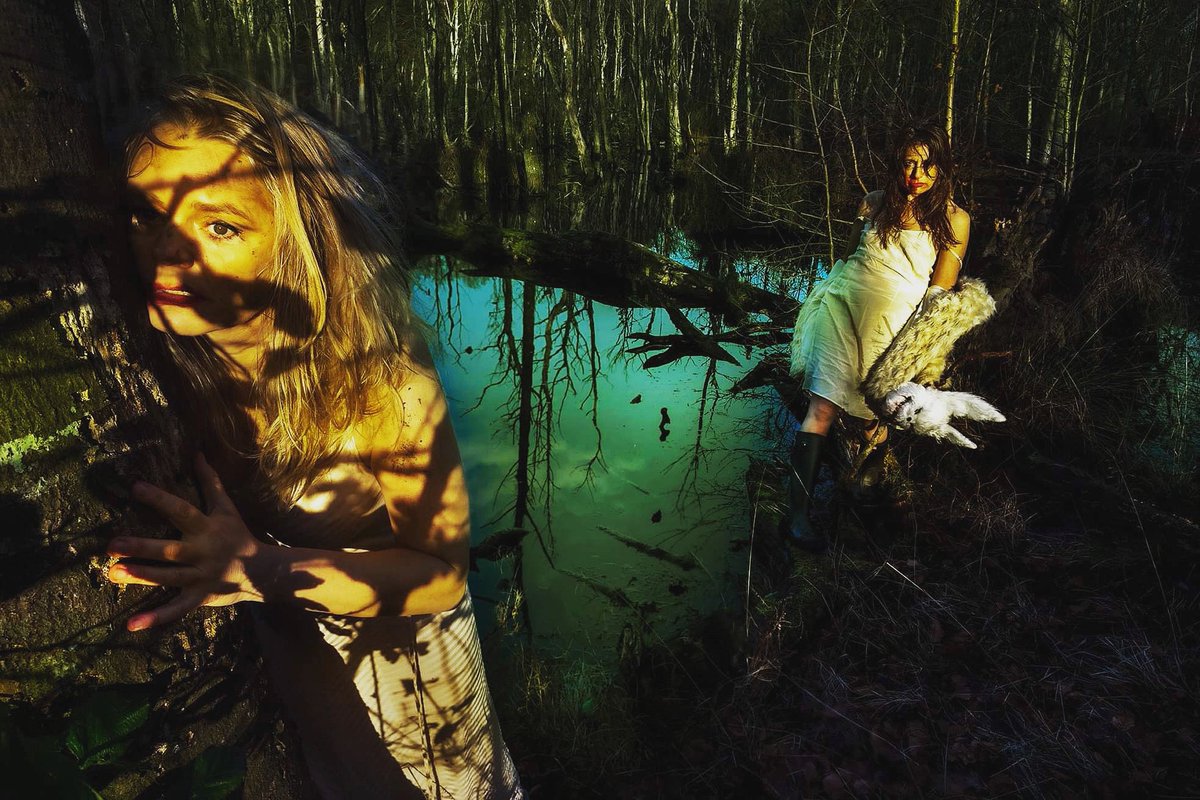 Kassandra Production tweet media