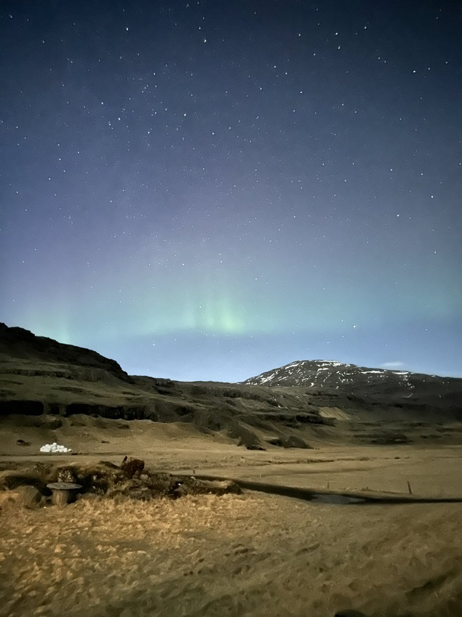 MPVG (Brooklyn’s Version) tweet media