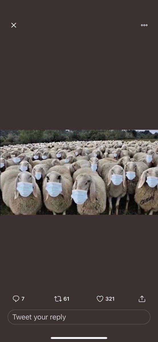 Goose573Goose57's tweet photo. @daymightbzombie @KurtSchlichter Dumbtard, you denying he did all those things? No. Because you can’t without lying. You saying pedo Joe’s has made our lives great? No. Good? No. Decent? No. Because again if you said that you be lying even more obviously. So take your irrelevant TDS butt back  to your flock. https://t.co/OHWcQrdsCk