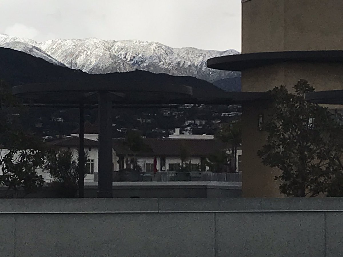 itsDaniNelson's tweet photo. So you’re sure I’m not back in CO? 👀❄️ #WinterInLA https://t.co/bEGkjuxDdz