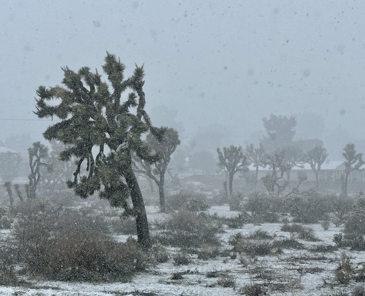 Cali Tenkey on Twitter "RT stuartpalley Actual winter weather