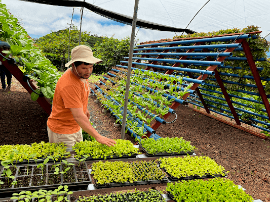 Steve Francis tweet media