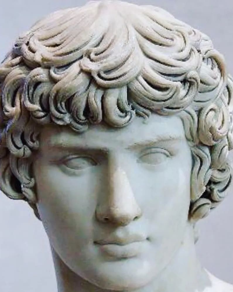 antinousgaygod's tweet photo. 🪷 How do you know if it's a statue of #Antinous? Those copious #curls!  Scholarly treatises have been written on the #LockScheme of his hair. More here: https://t.co/swQvbmYPfd 🪷 https://t.co/eVHmXp4LS2
