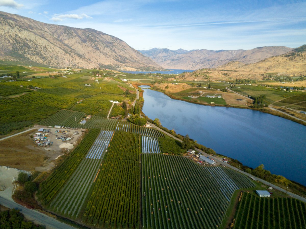 SugarBeeApple's tweet photo. #FruitFacts Thanks to Central Washington's warm summer days, cool evening breezes and fertile valleys, our orchards offer the ideal growing conditions for SugarBee® apples! 🐝 🍎 ☀️ #SugarBeeApple #FromBeeToYou https://t.co/4xbKXHQvM4