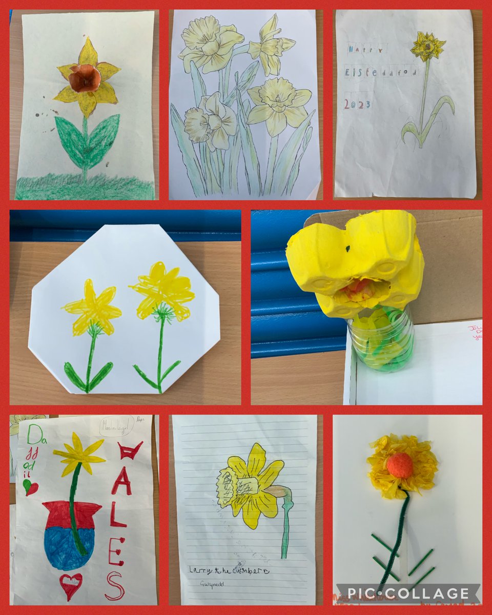 Miss Whitehouse Dosbarth Glas tweet media