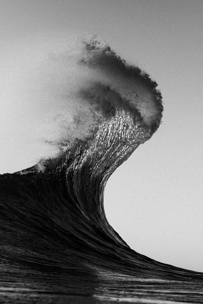 Ryan Pernofski tweet media