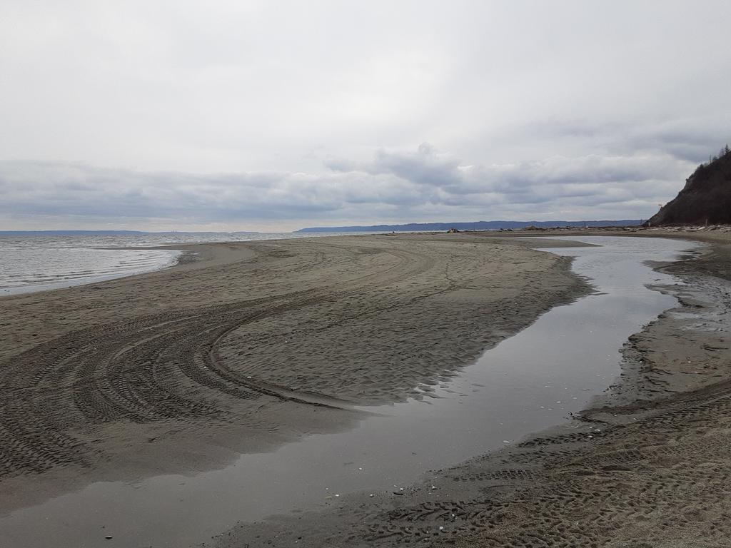 tetrimbath's tweet photo. (nearly) empty beach 
solitude near home
#WhidbeyIsland
#DoubleBluff https://t.co/SsloKoFOsF