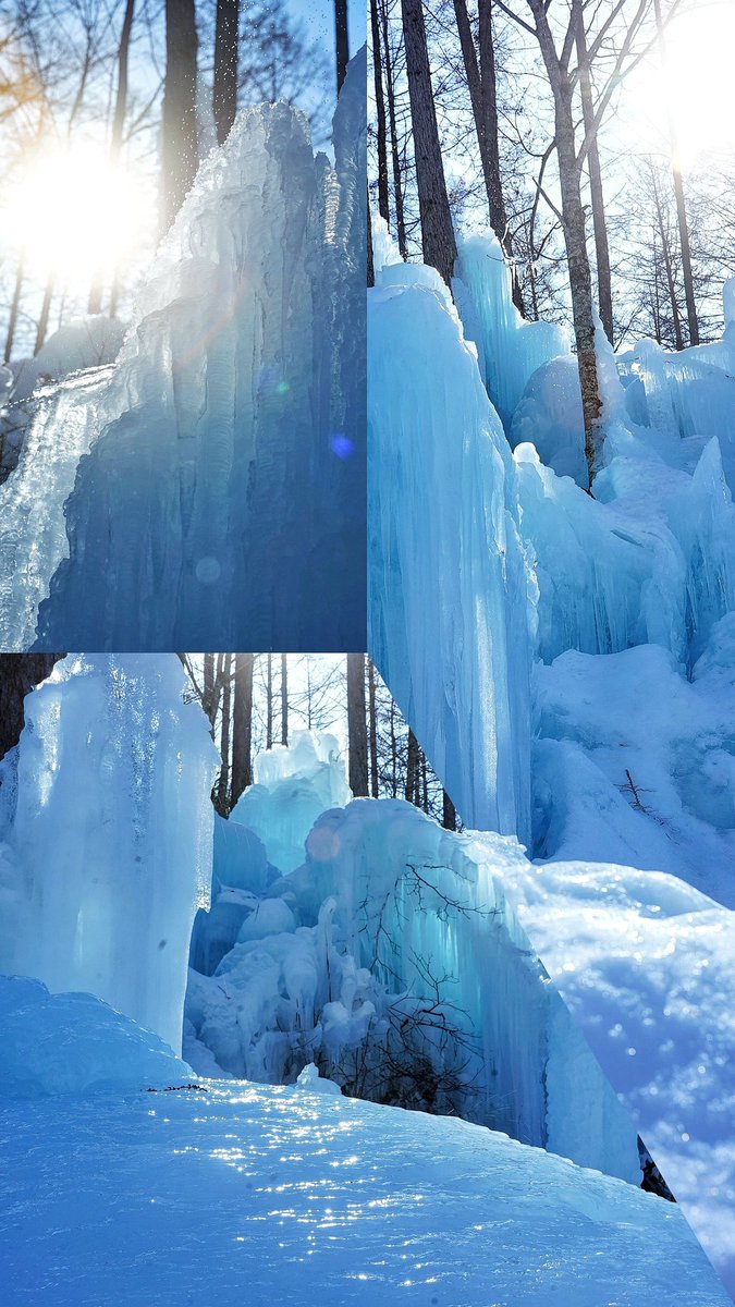 eji_wata's tweet image. 呼吸することも忘れてしまうくらい夢中でシャッターを切ってしまった 
白と青の世界 📷❄

🧊❄🧊❄🧊
subzeroforest 

美しい景色に感動！
ありがとうございました。

#icicles
#氷柱

#氷点下の森