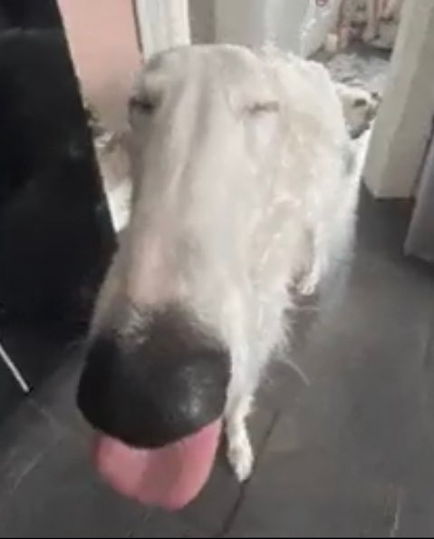 fart_reverb_2's tweet image. 