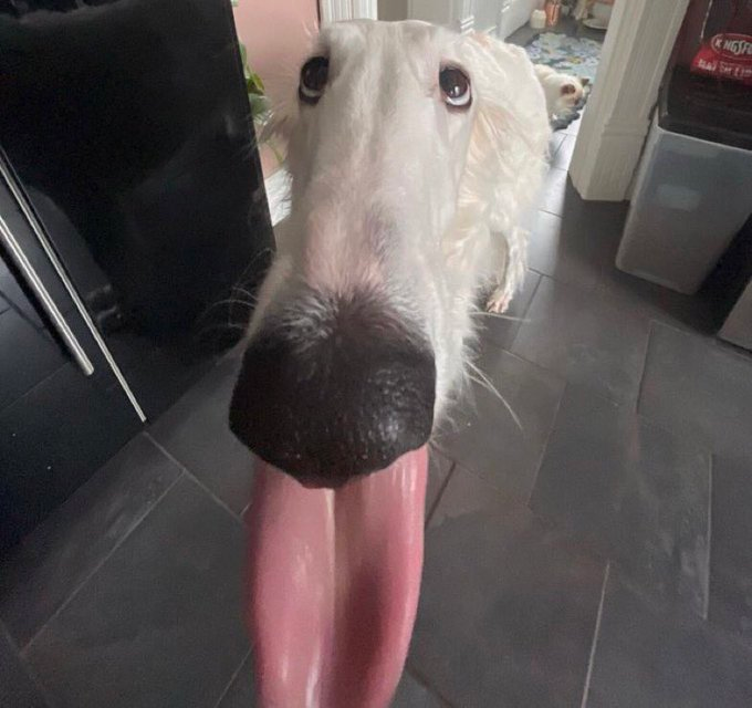 fart_reverb_2's tweet image. 