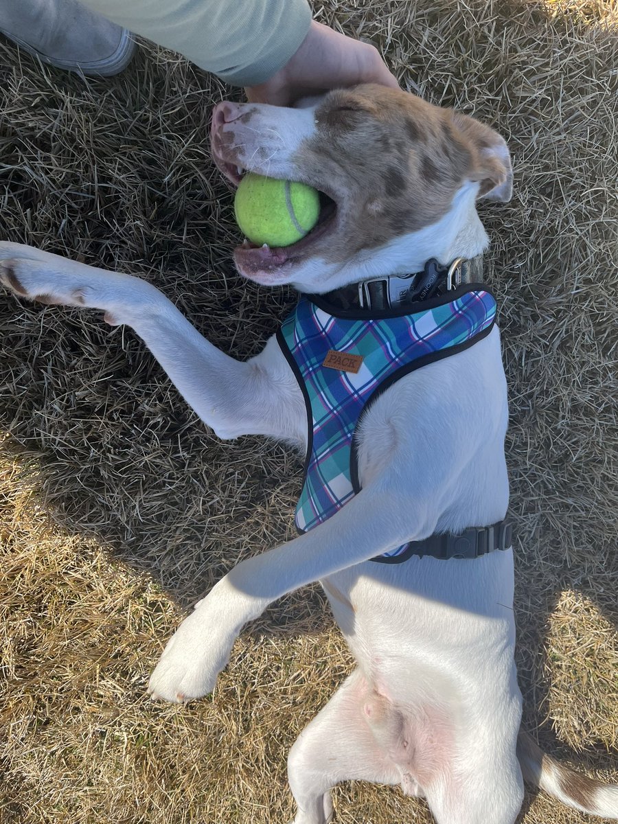 Nice weather = happy Rooney