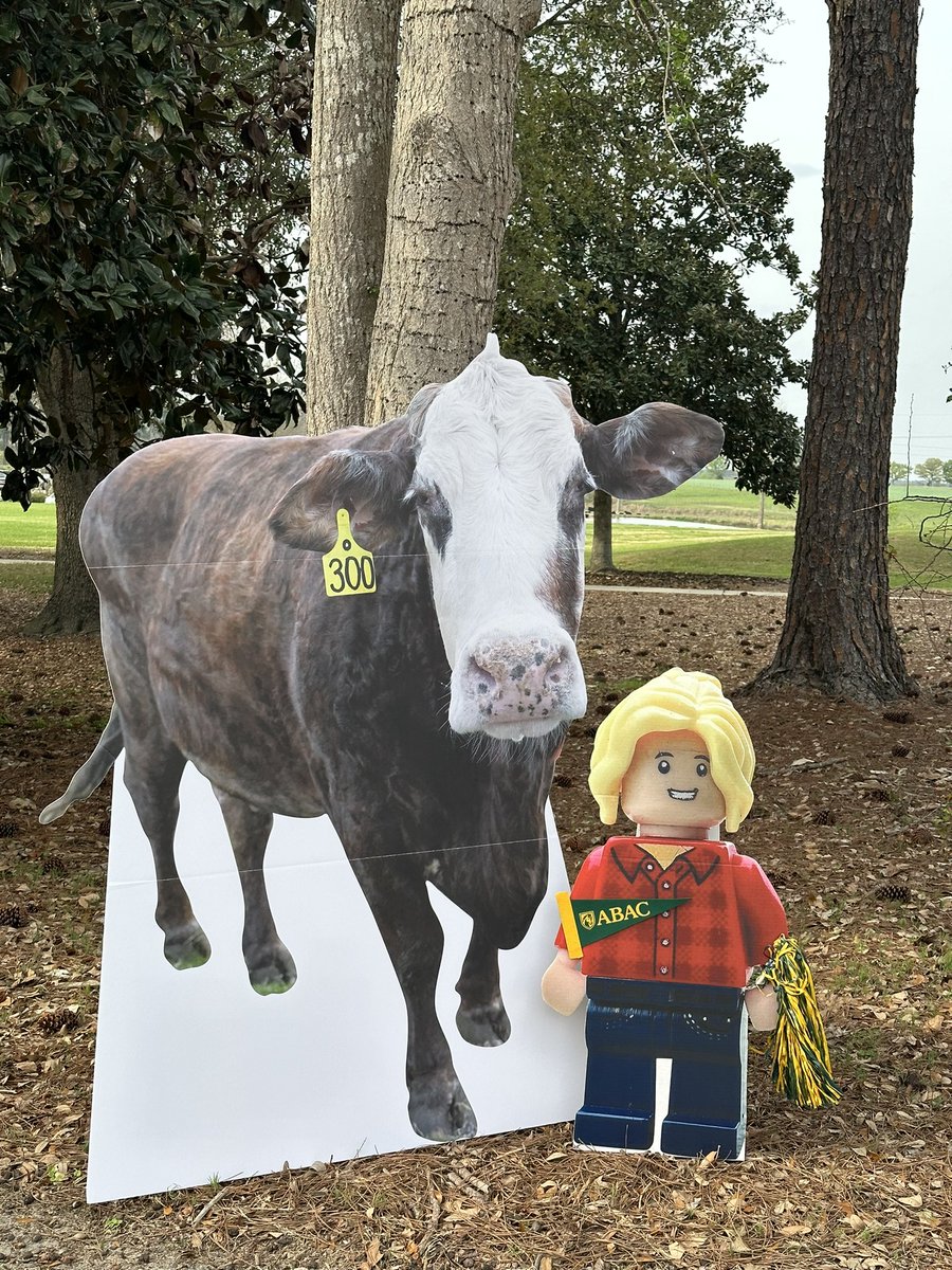 LegoForages's tweet photo. What happens when two #AgNerds purchase oversized cardboard cutouts? You have a #partt of course! Continuing the #birthday fun with our #friends at the #ABAC #Beef Unit with #Pumpkin!

#LegoForageSpecialistTurns4 #Awesomeness https://t.co/0XdV8rDpzq