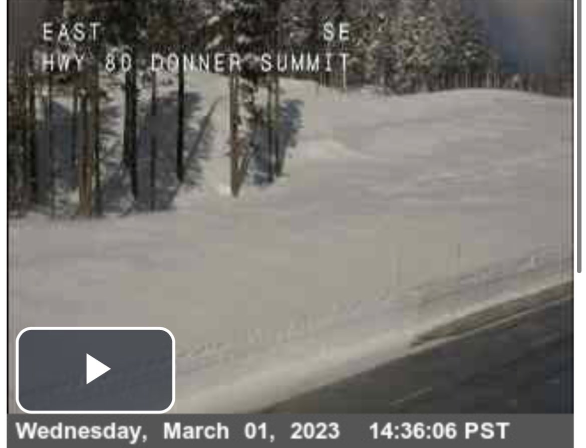 Trubacca tweet media