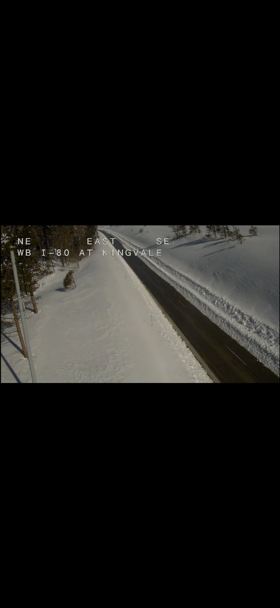 Trubacca tweet media