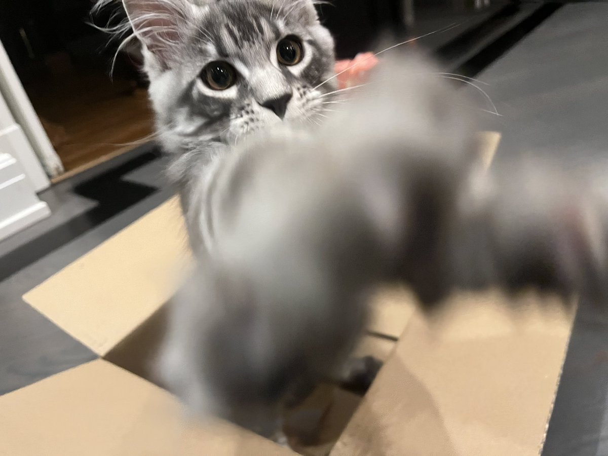 <a href="/oten_oaoj/">João Neto</a> <a href="/evanescence/">Evanescence</a> 😻