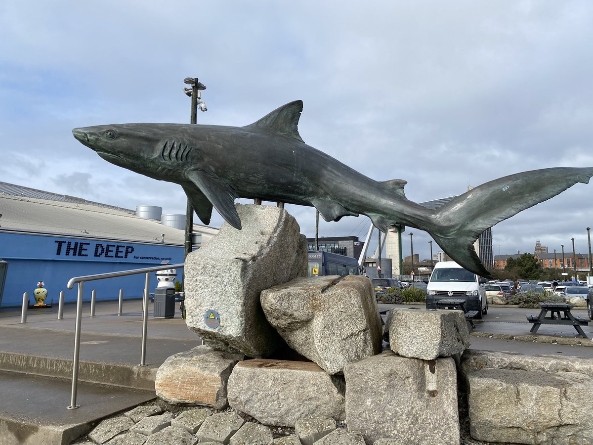 Steve Counter tweet media