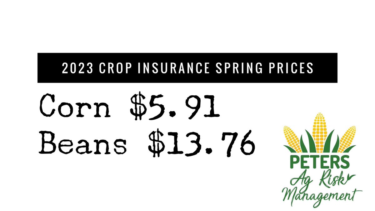 Sam Peters tweet media