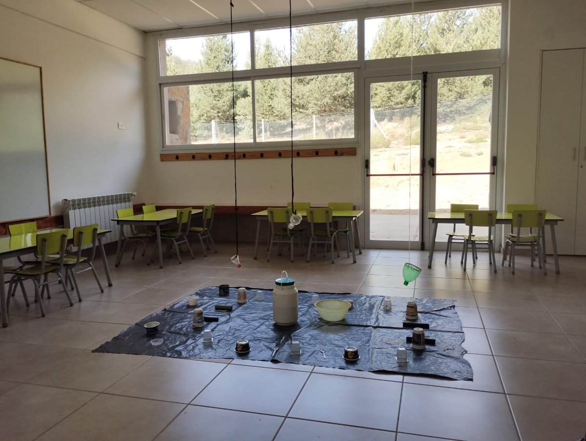 RFlutsch's tweet photo. 🎉¡Un nuevo ciclo lectivo comienza! 
Aquí registros 📸 de espacios educativos del Nivel Inicial, que ya están listos para recibir a las infancias y sus comunidades.
¡El trabajo #EnEquipo lo hizo posible! 
#MinisterioGobiernoEducación
#CPE
#NeuquénProvincia https://t.co/BlhTmM00kD