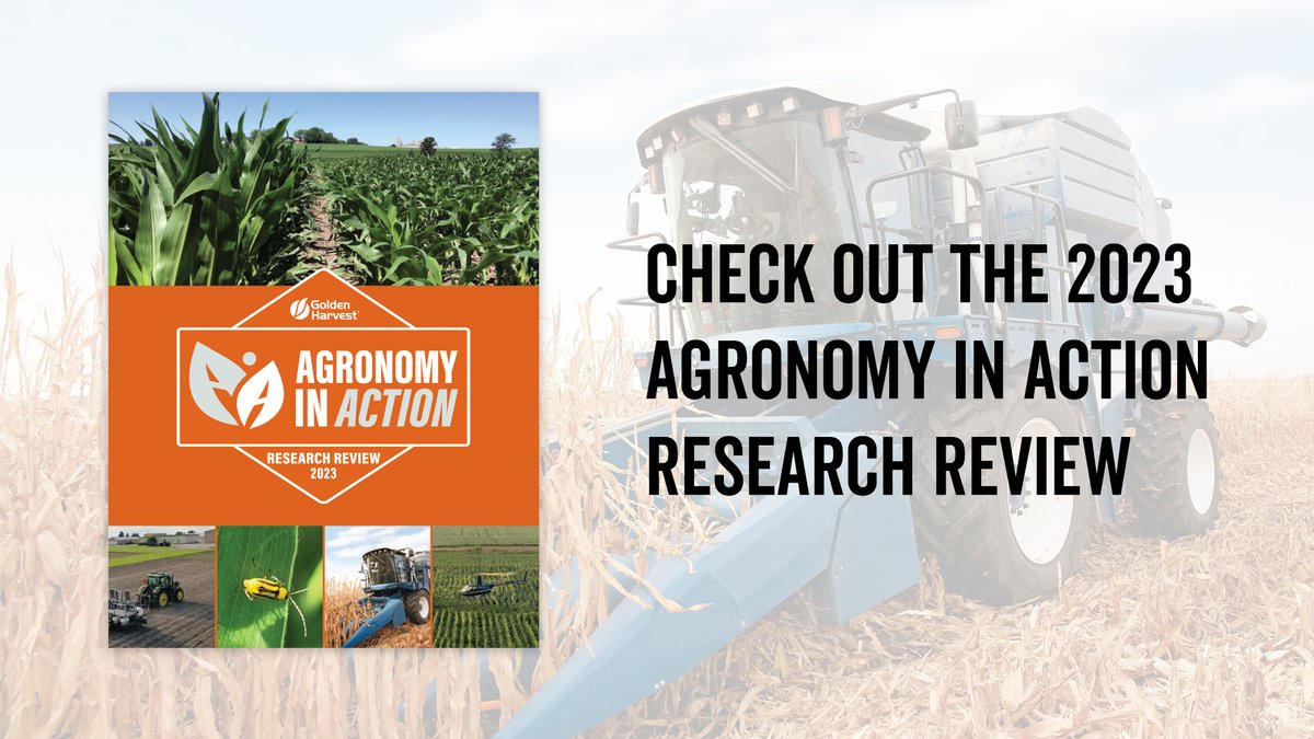 Golden Harvest Seeds tweet media