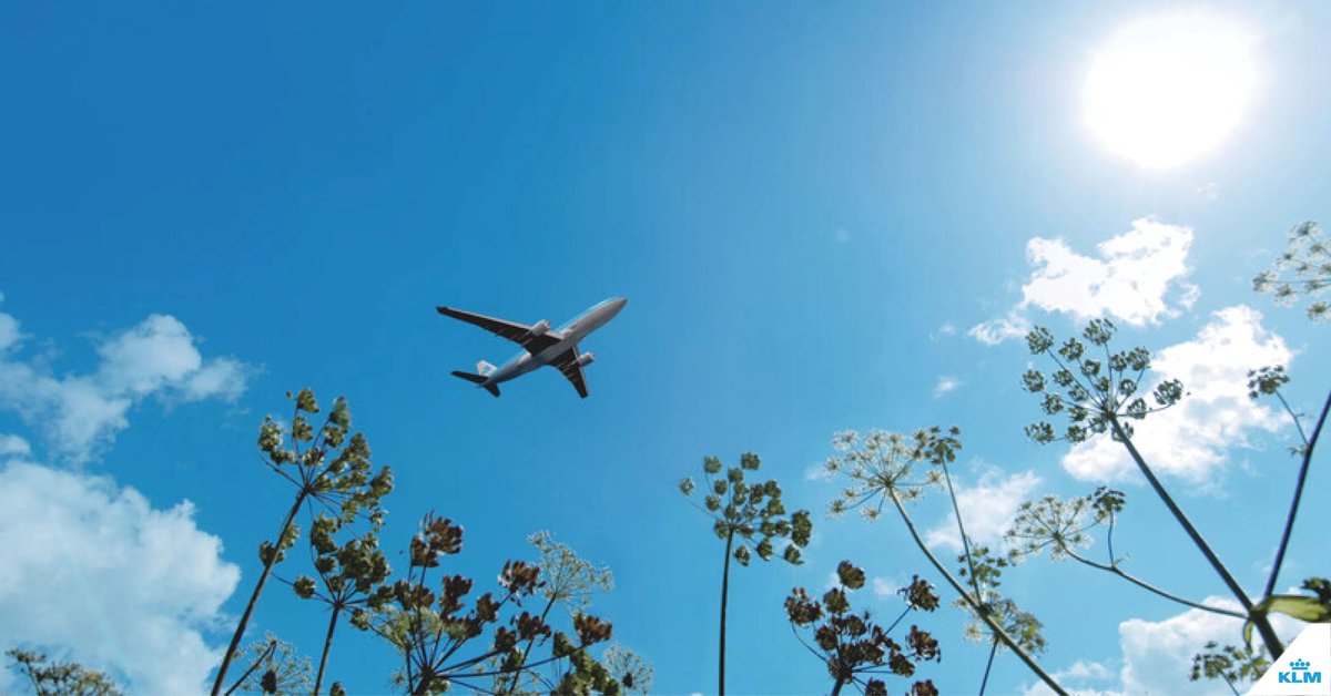 Un futuro con viajes más responsables ✈️ 💚 Sabemos que viajar puede ser más sostenible. Por eso asumimos nuestra responsabilidad y compromiso de crear un futuro más sostenible para la aviación.
Descubrí cómo lo hacemos y cómo podés ayudar: bit.ly/3y3NCp3