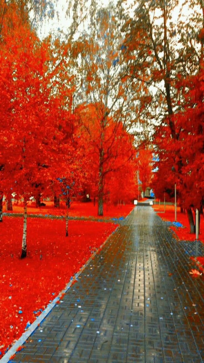 EjazGujjar55's tweet photo. Good morning Friends https://t.co/3sSADCzp4Y